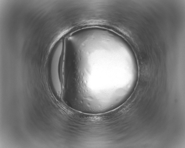 X0000056031317200509092155