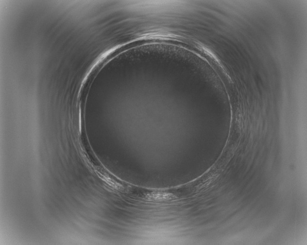 X0000056031323200509092155