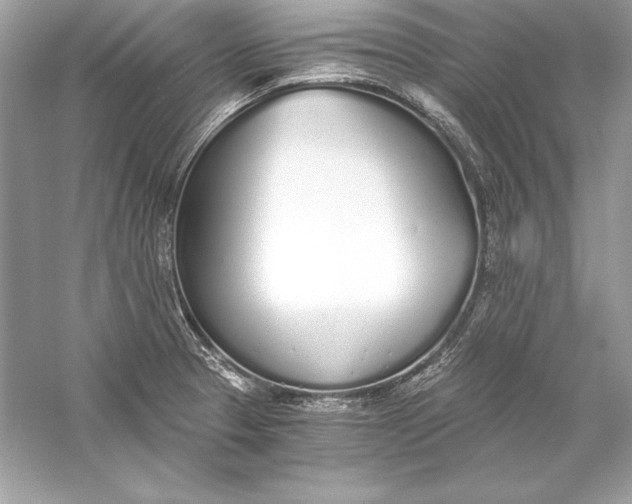 X0000056031329200509092155