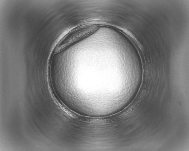 X0000056031333200509092155