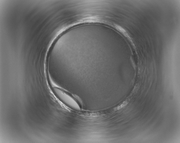 X0000056031334200509092155