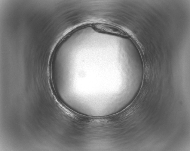 X0000056031335200509092155