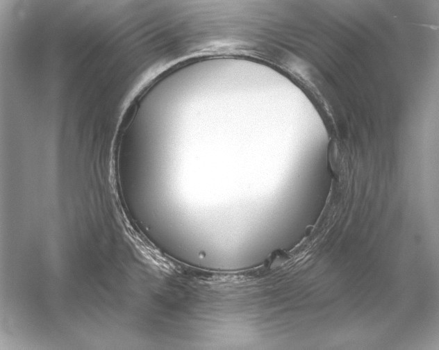 X0000056031336200509092155