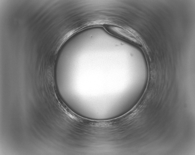 X0000056031337200509092155