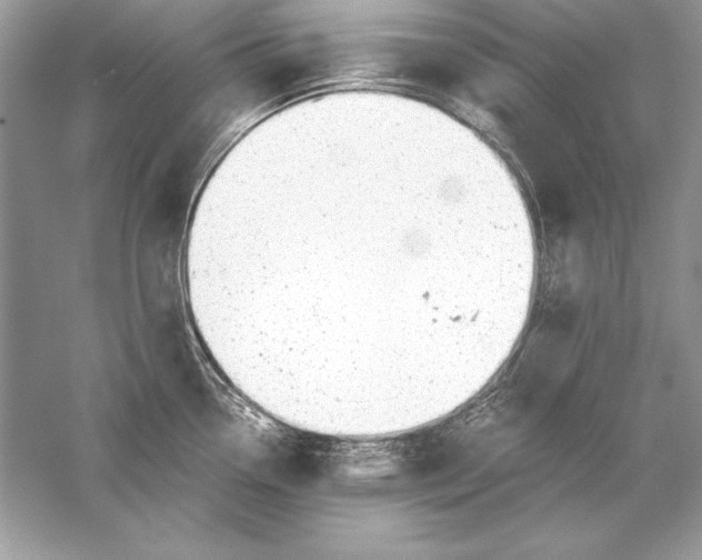 X0000056031338200509092155