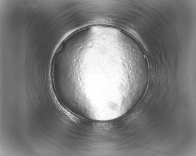 X0000056031339200509092155