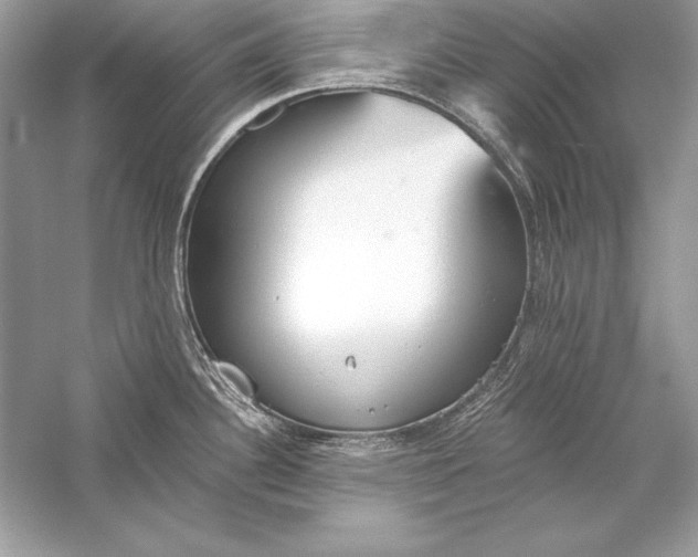 X0000056031340200509092155