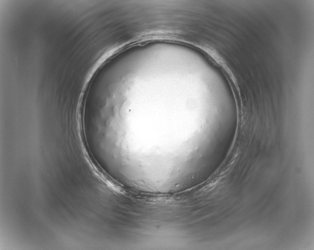 X0000056031341200509092155