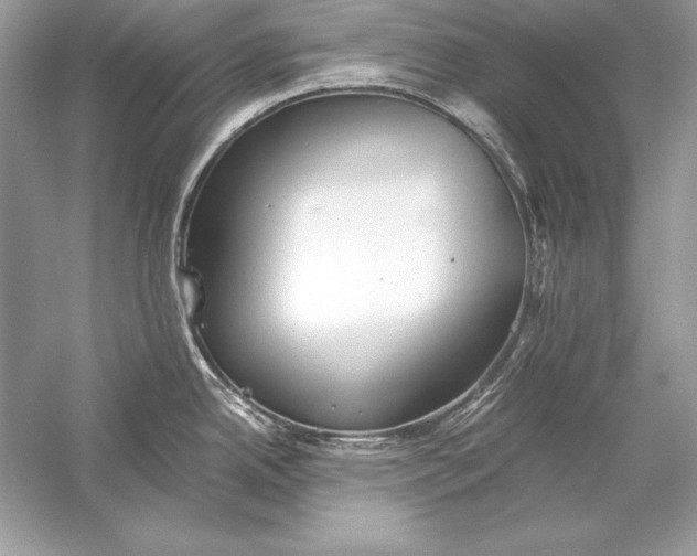 X0000056031342200509092155