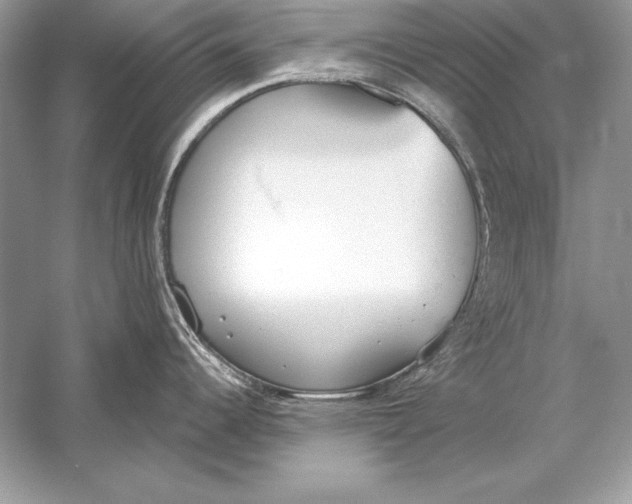 X0000056031344200509092155