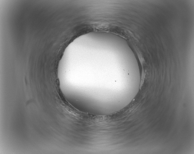 X0000056031345200509092154