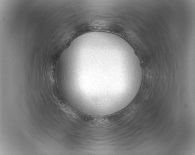 X0000056031346200509092154