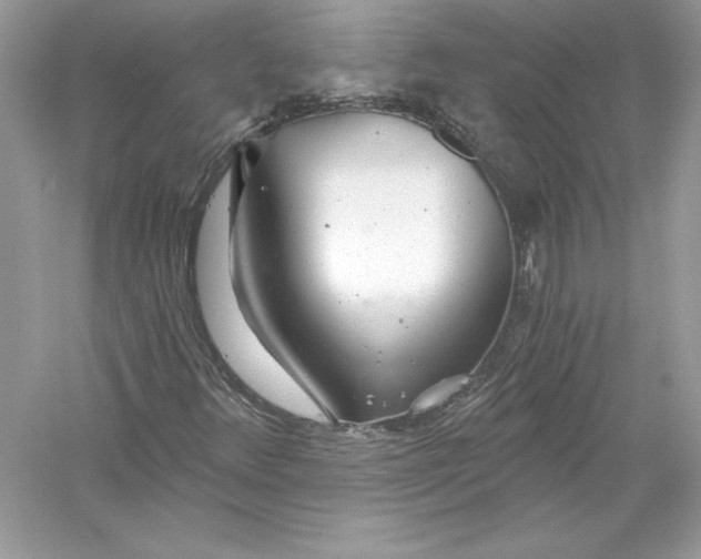 X0000056031348200509092154