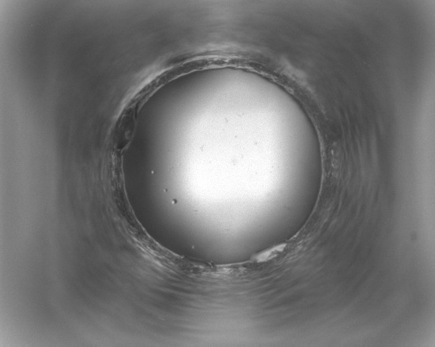 X0000056031352200509092154