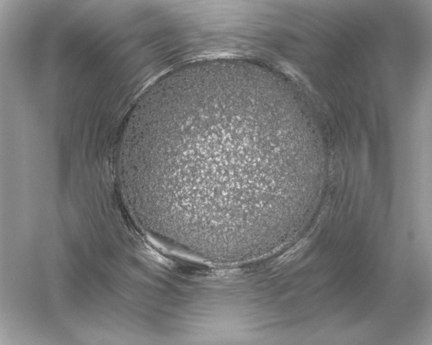 X0000056031353200509092154