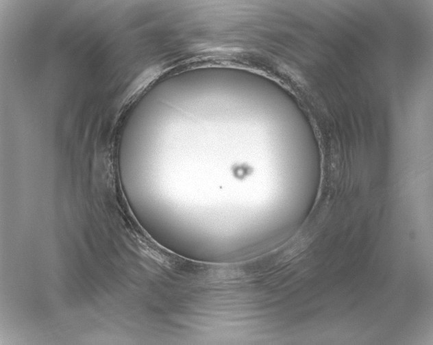 X0000056031354200509092154