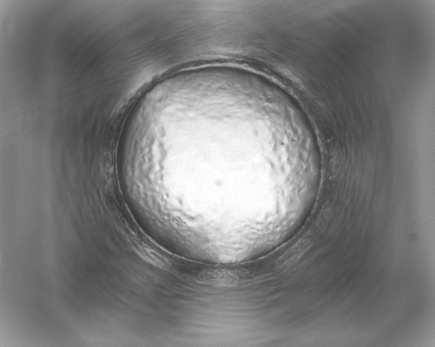 X0000056031355200509092154