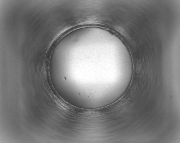 X0000056031356200509092154