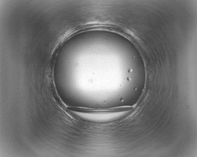 X0000056031357200509092154