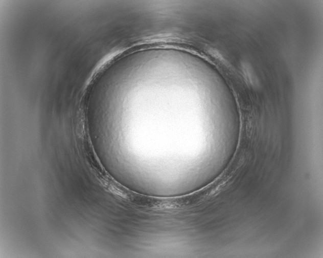 X0000056031358200509092154