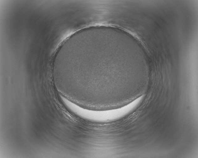 X0000056031359200509092154