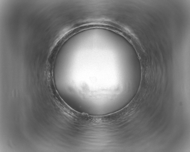 X0000056031360200509092154