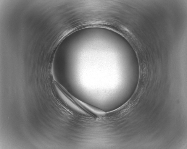 X0000056031361200509092154