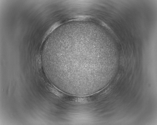 X0000056031362200509092154