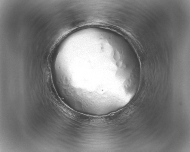 X0000056031363200509092154