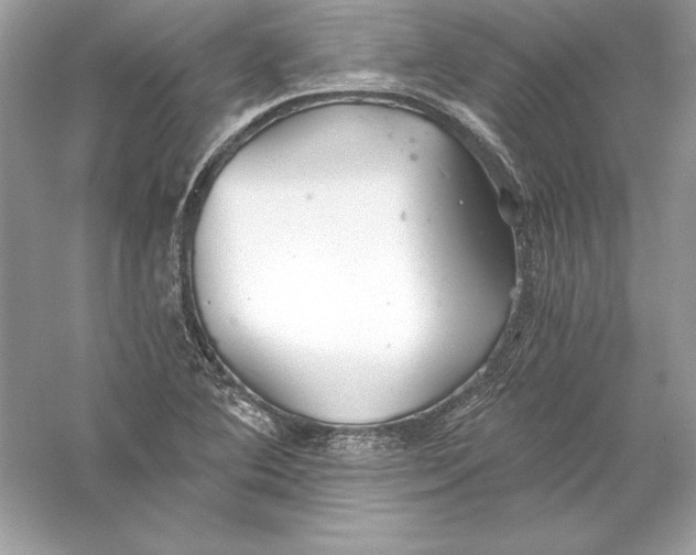 X0000056031364200509092154