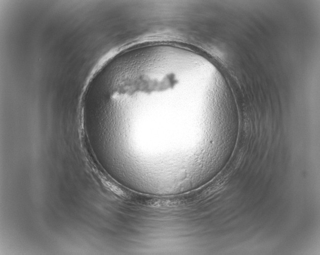 X0000056031366200509092154