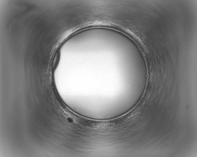 X0000056031367200509092154