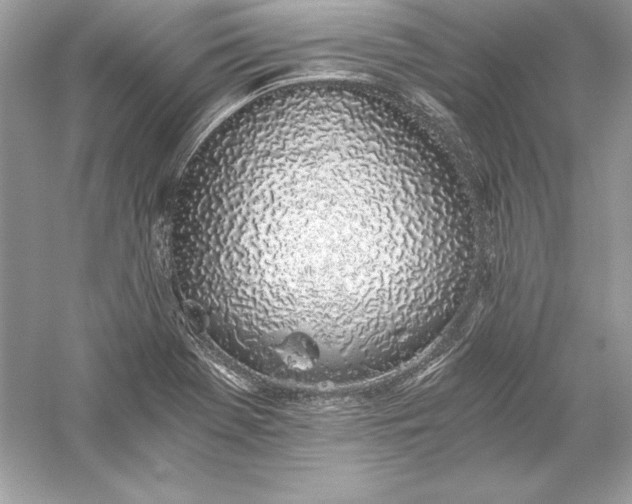 X0000056031369200509092154