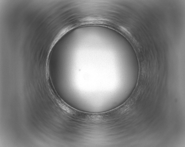 X0000056031370200509092154