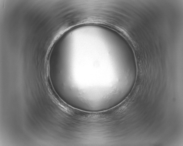 X0000056031371200509092154