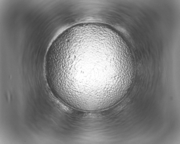 X0000056031374200509092154