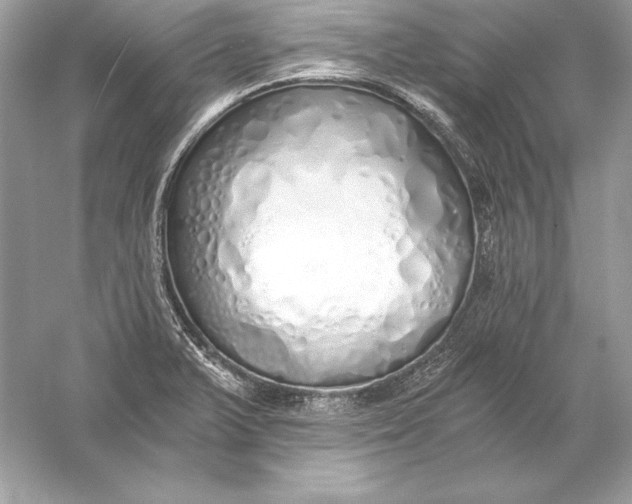 X0000056031375200509092154