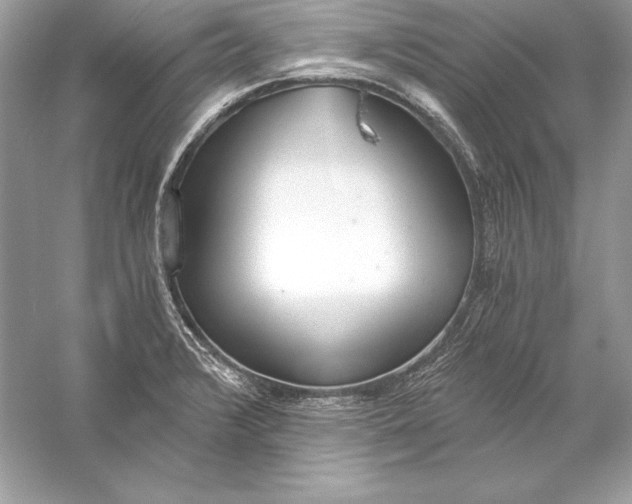 X0000056031376200509092154