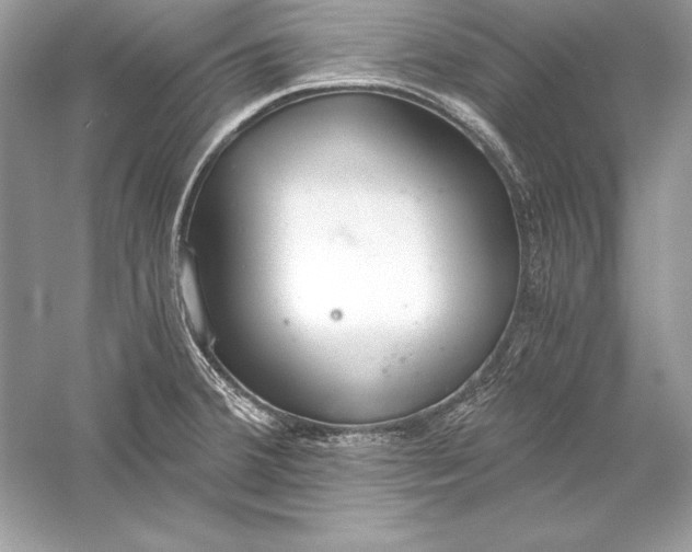 X0000056031380200509092154