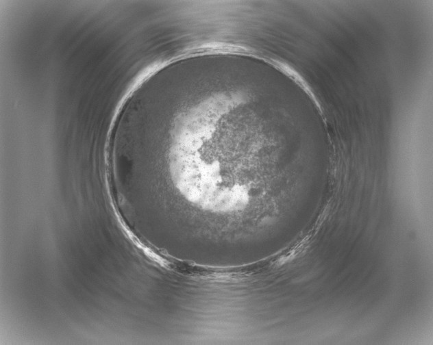 X0000056031381200509092154