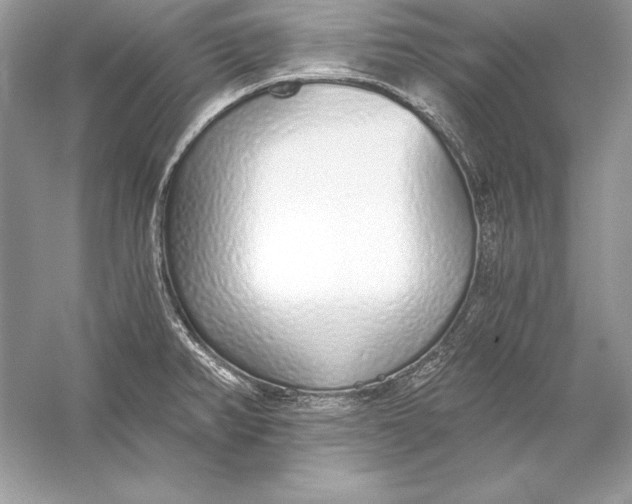 X0000056031382200509092154