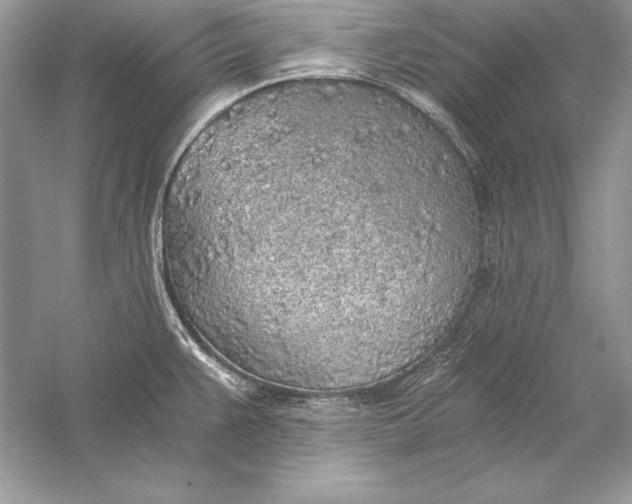 X0000056031383200509092154