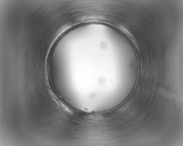 X0000056031384200509092154