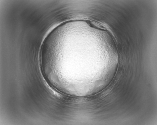 X0000056031387200509092154