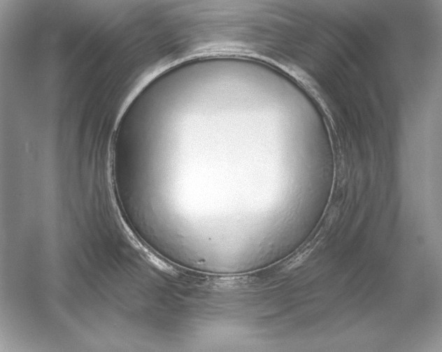 X0000056031390200509092154