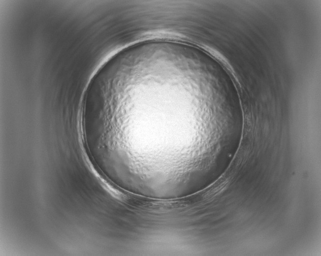 X0000056031391200509092153