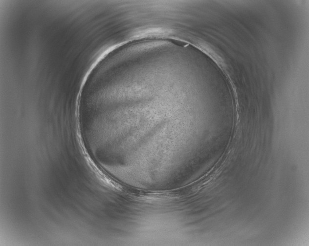 X0000056031392200509092153