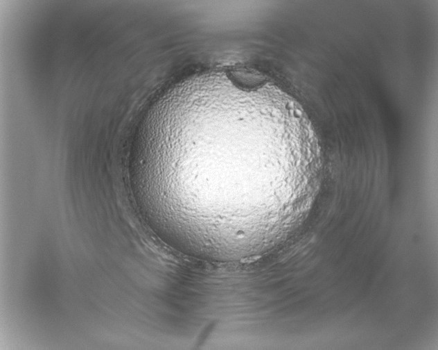 X0000056031393200509092153