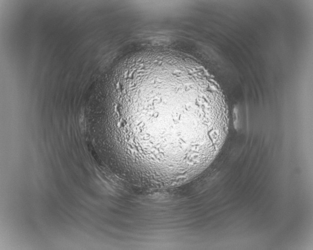 X0000056031395200509092153