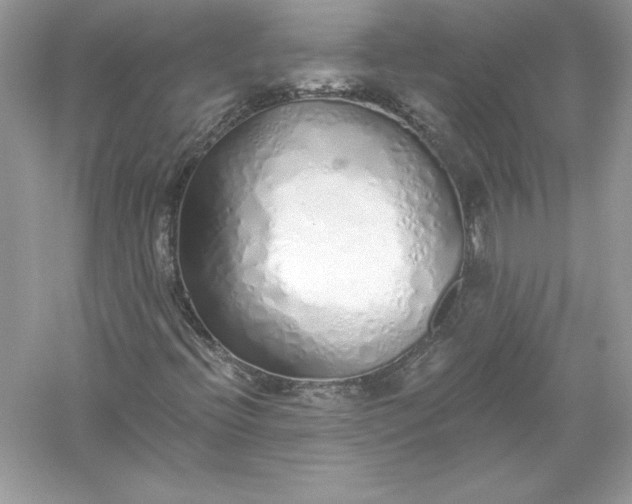 X0000056031396200509092153